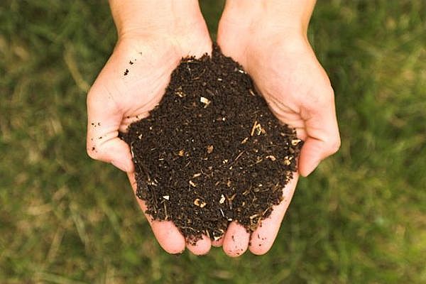 Composting Doesn’t Stink As Much As You Might Think! Part Three Of A Three Part Series