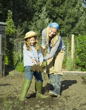 Spectacular Perennial Beds: Part One Of A Two Part Series
