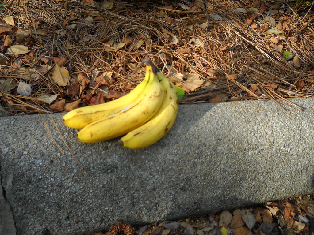 Is your curb appealing?