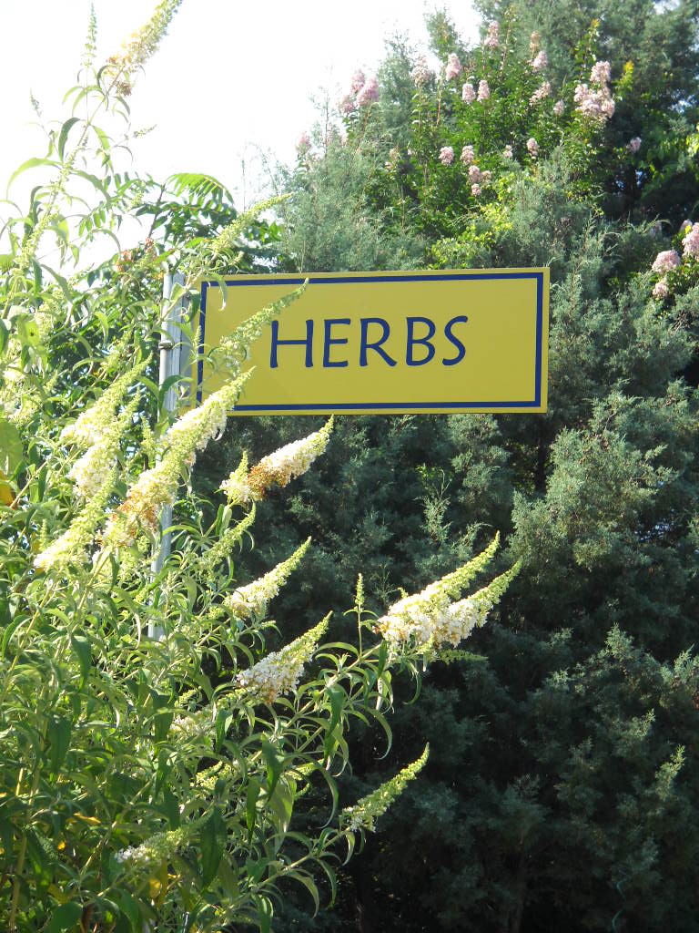 Herbs?