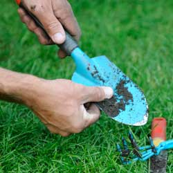 Less Pain, More Gain: Ergonomics in the Garden