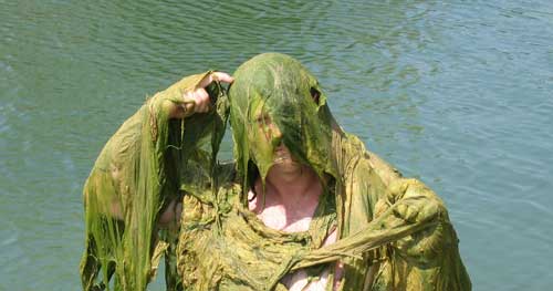 The Algae Solution Headquarters