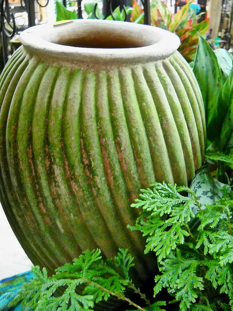 South Pleasantburg Nursery, On Top Of Trends Yet Again