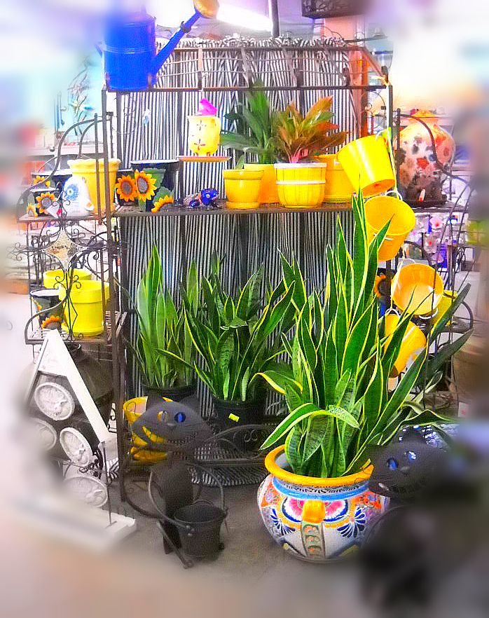 Bright Yellow, It Always Makes You Smile