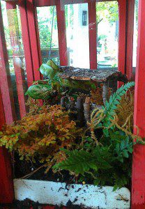 Add Do Dads Such As Junk