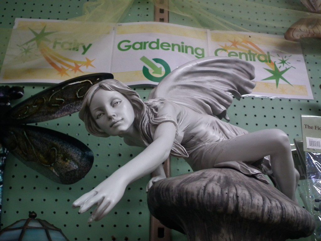 Fairy Gardening In February