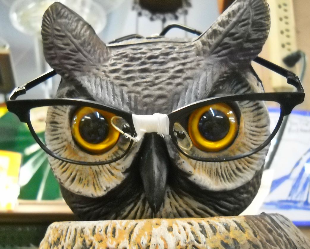 Upcoming Class Schedule