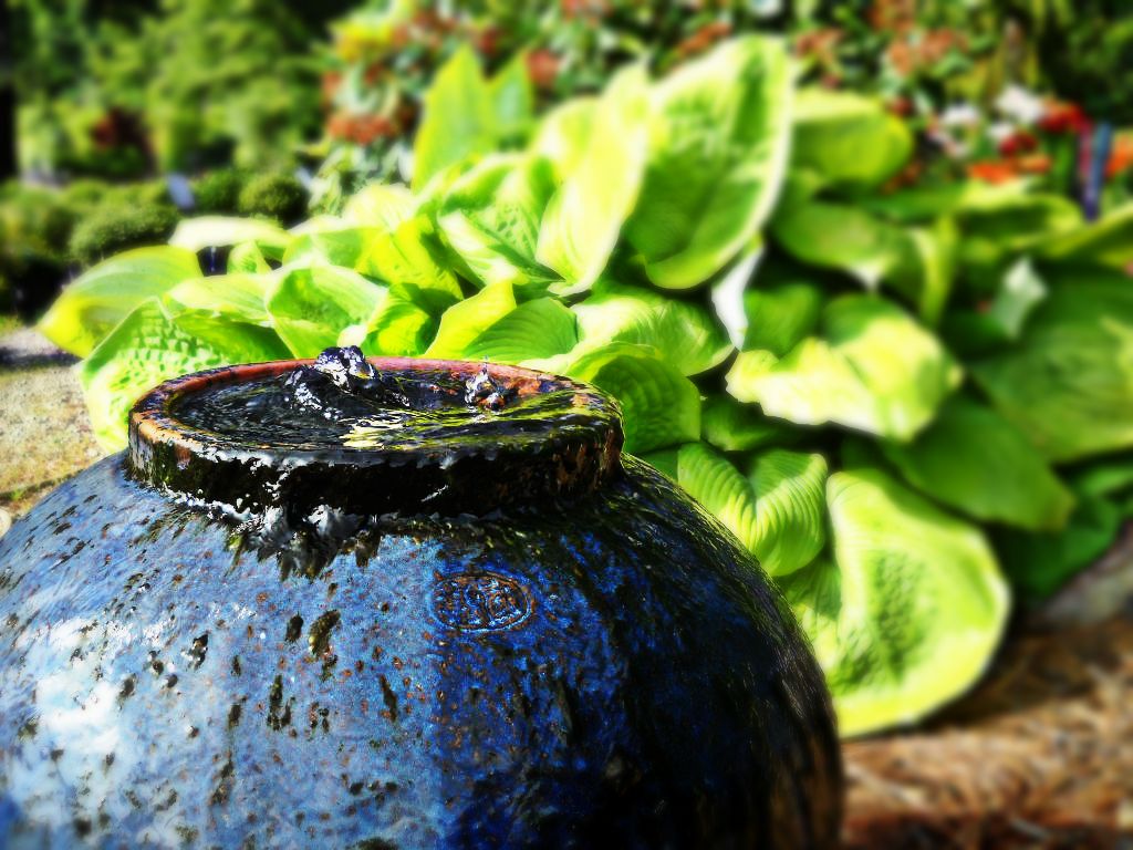 Create Some Disappearing Magic – Disappearing Fountains