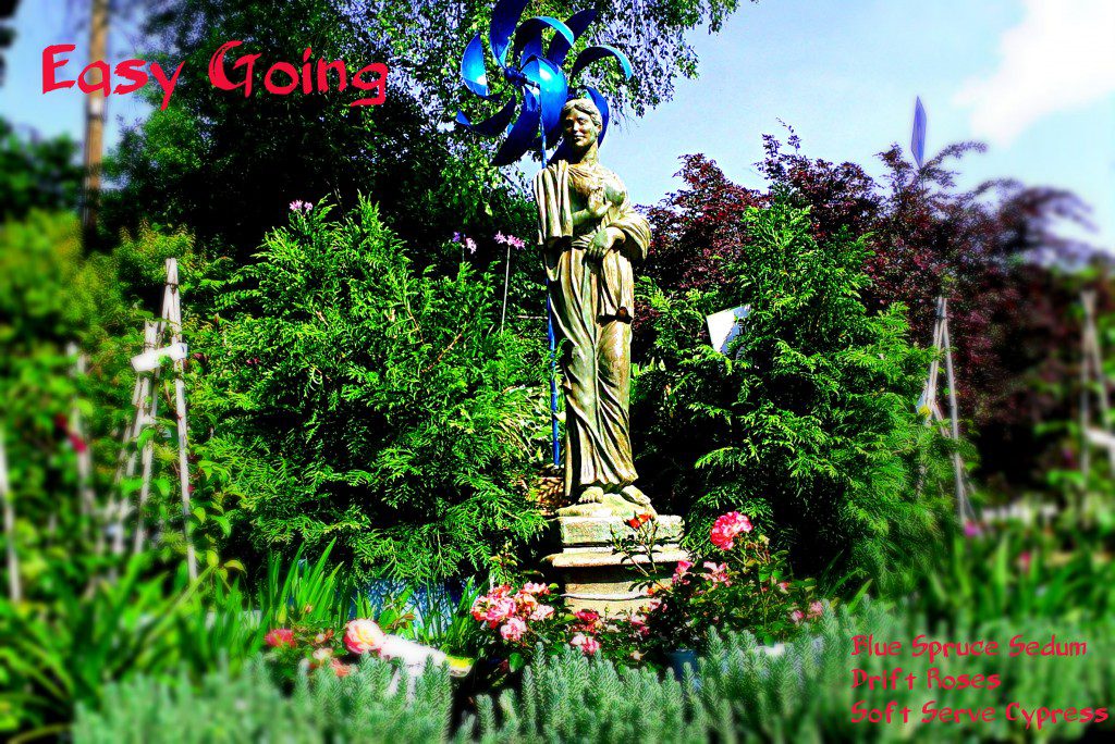 Soft Serve Cypress, Blue Spruce Sedum, Drift Roses