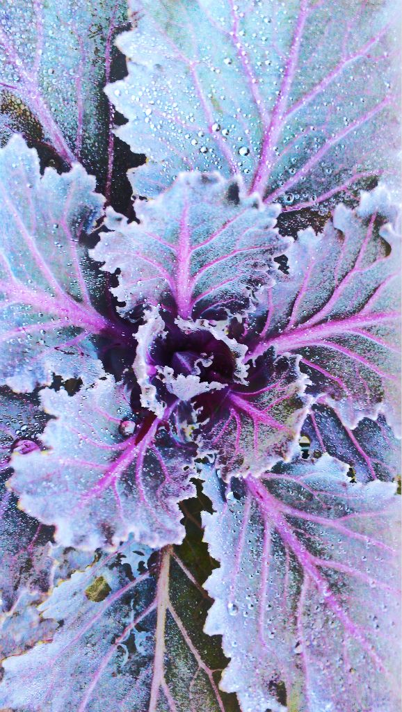 Contain-er Yourself For Fall!