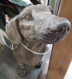 Sniff Sniff - Sniff Sniff - "Where's the bacon already?!?!". Fritz the Weiner dog is large in size and even larger in heart. His face is sweet and his length is long. He doesn't even have back trouble like real weenie dogs have. 