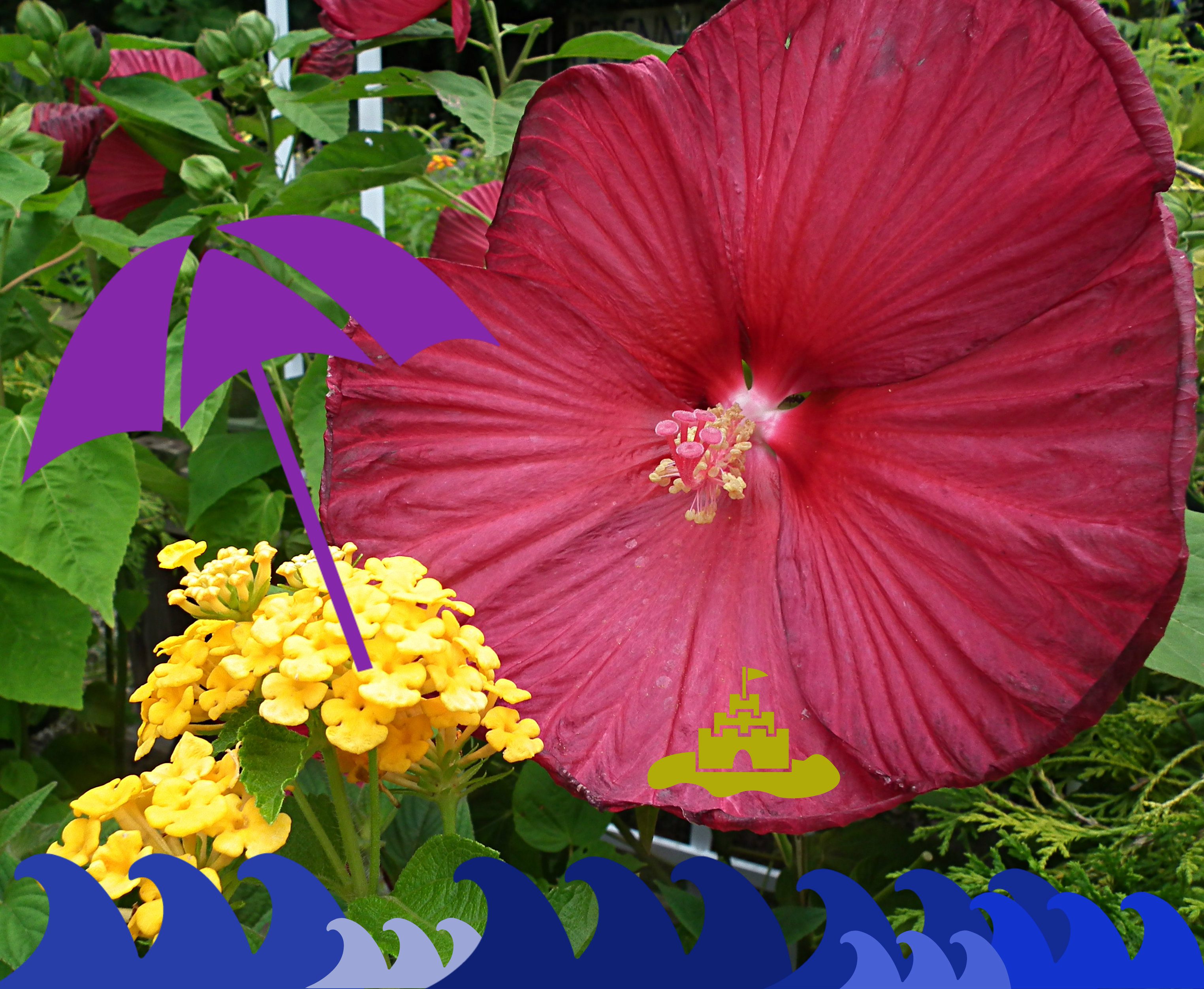 A Hot July Showcase – Almost Too Hot To Handle