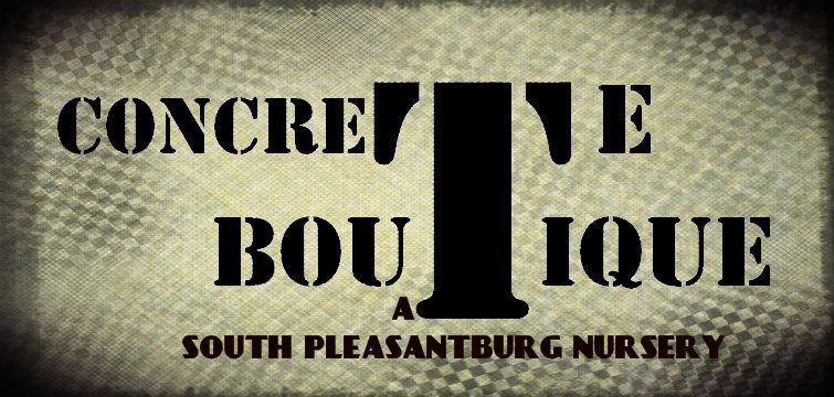 The Concrete Boutique At South Pleasantburg Nursery