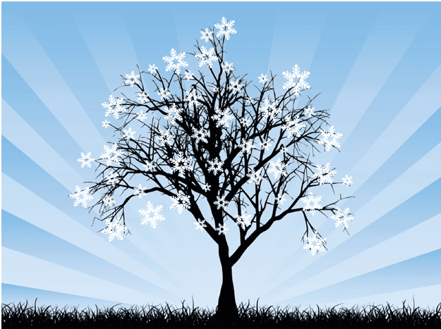 Overcoming Frost Damage – What You Need To Know