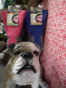 Judson our super tough bulldog still isn't as tough as our super tough torn handling gloves