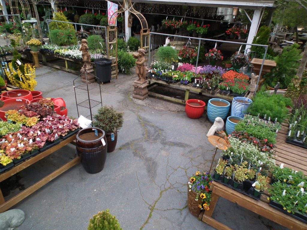 Although we haven't gotten in ALL of our summer annuals, we're getting a few in every week. We're getting stocked up on stuff that we're not concerned with being out in chilly nights. We're also looking forward to getting flats of annuals in (but not for a couple weeks!)