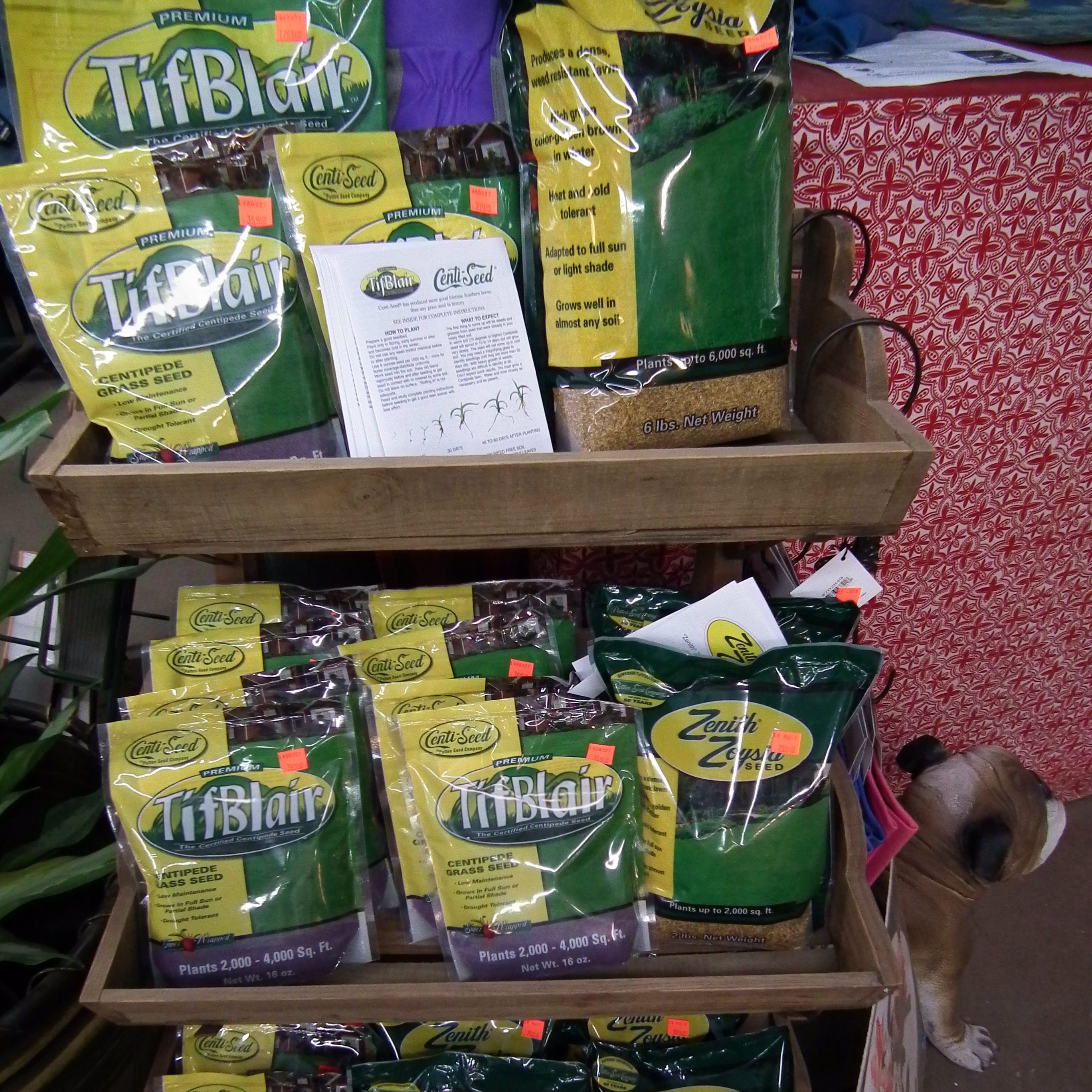 Zoysia And Centipede Seed Now On Sale!