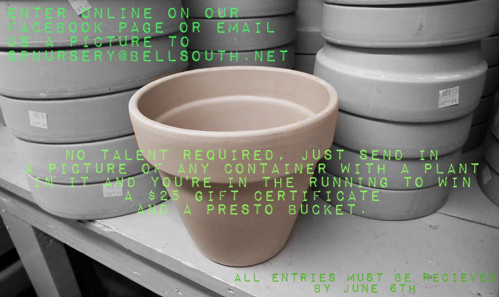 Container Gardener Of The Year 2014