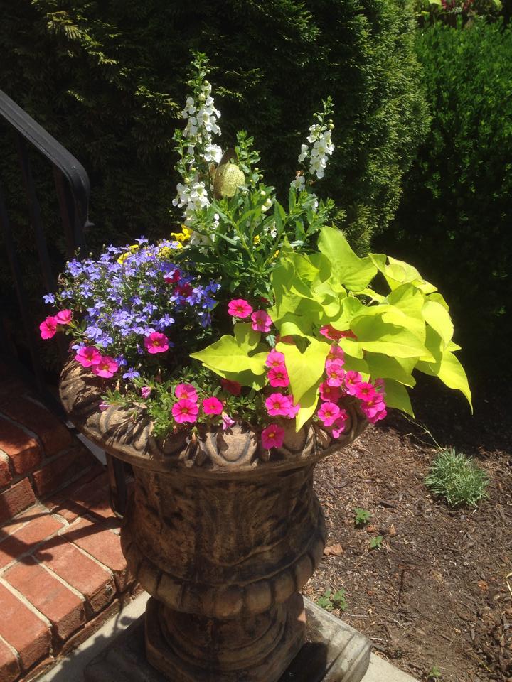 Fantastic assortment of bursting color coming from a fantastic urn ...