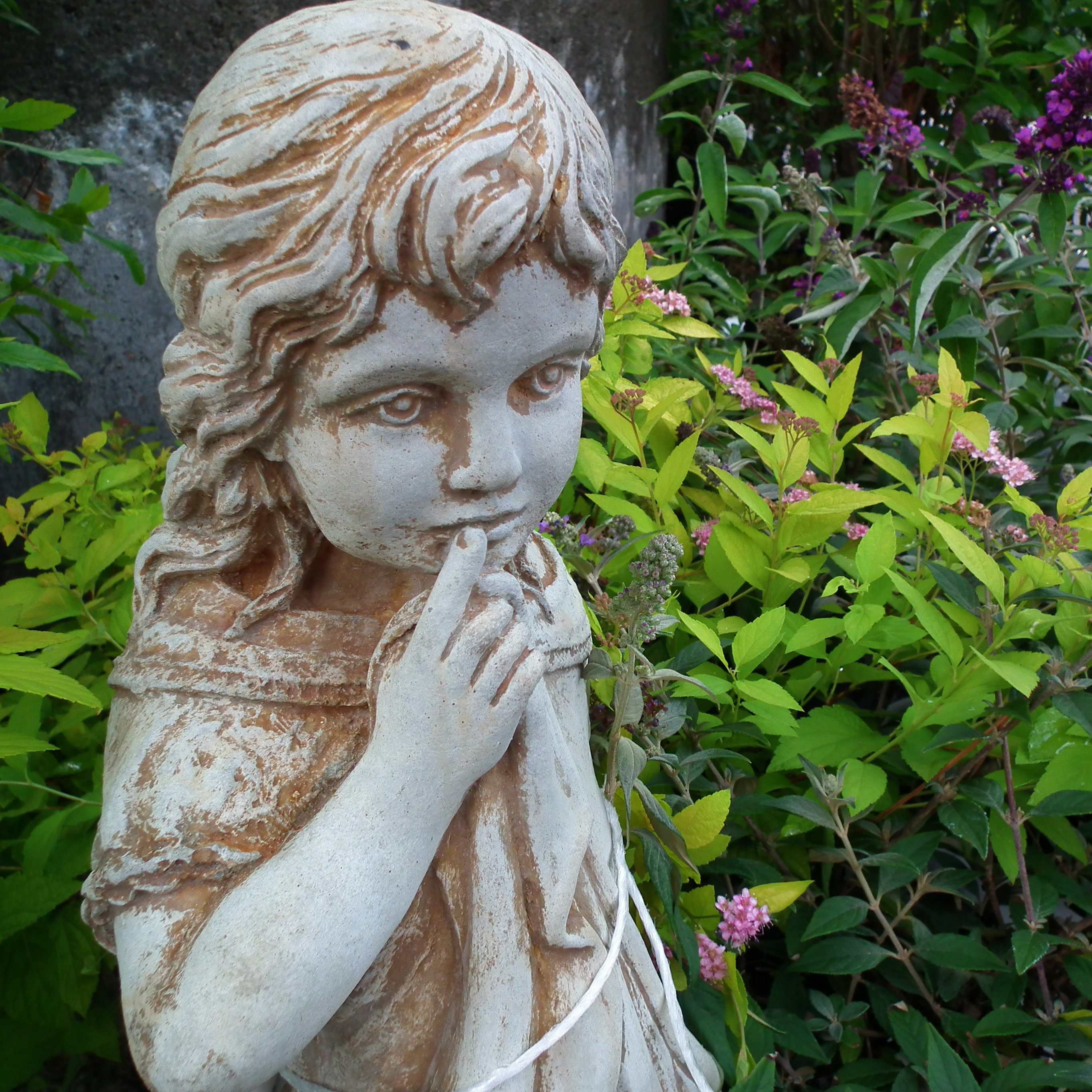 June Showcase Of Shrubbery