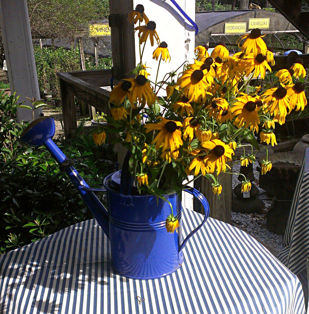 Cut Your Own Flowers Day