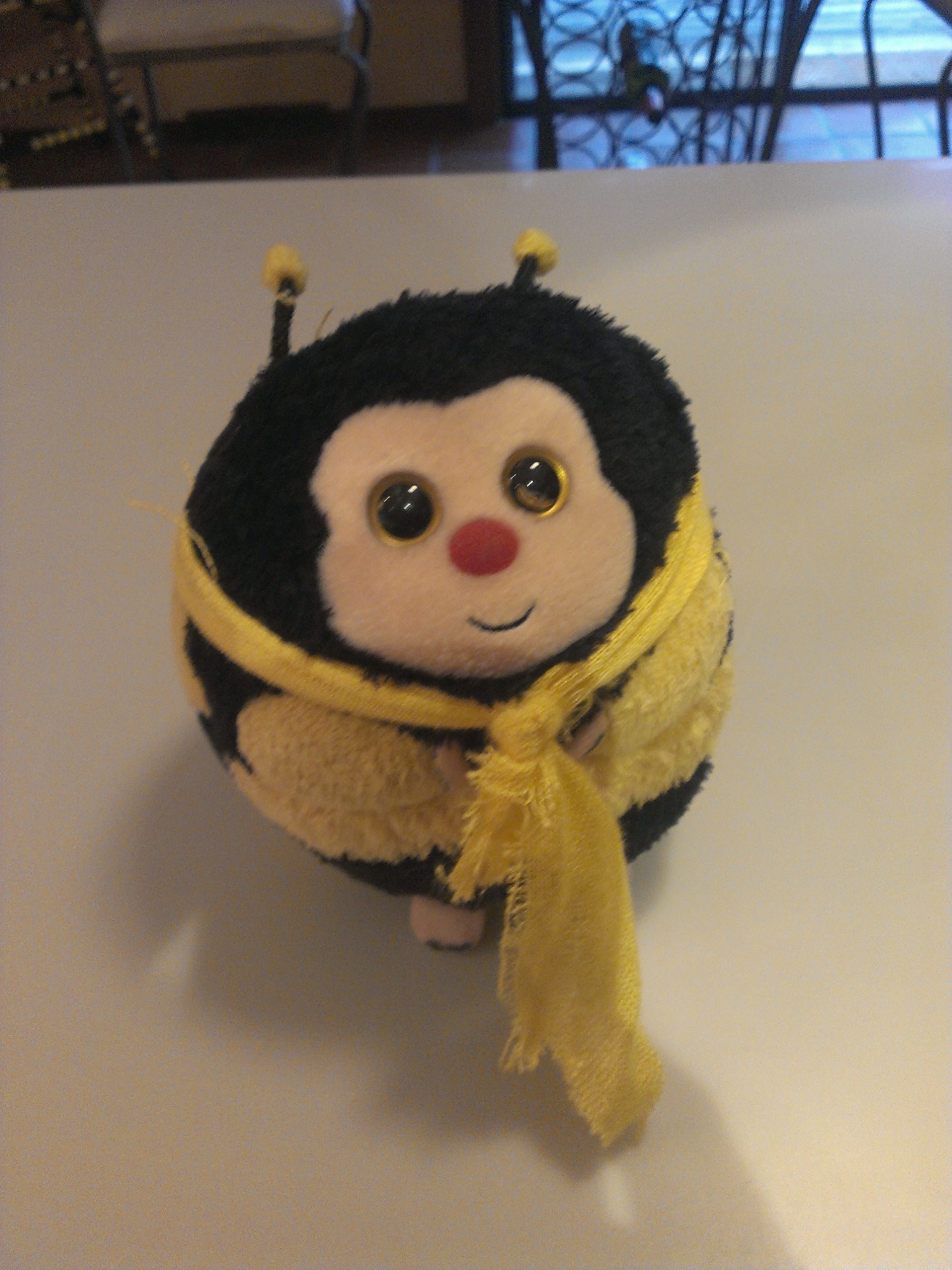 Where Is Zips Hiding Today?