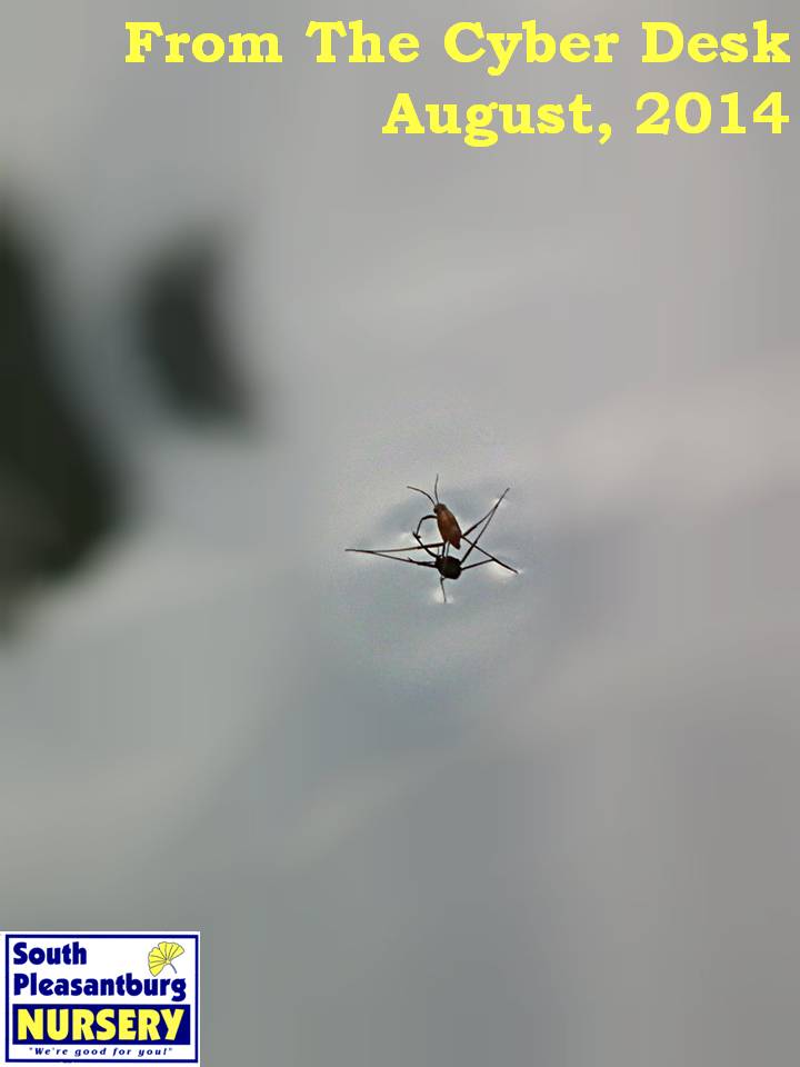 August 2014 Newsletter!