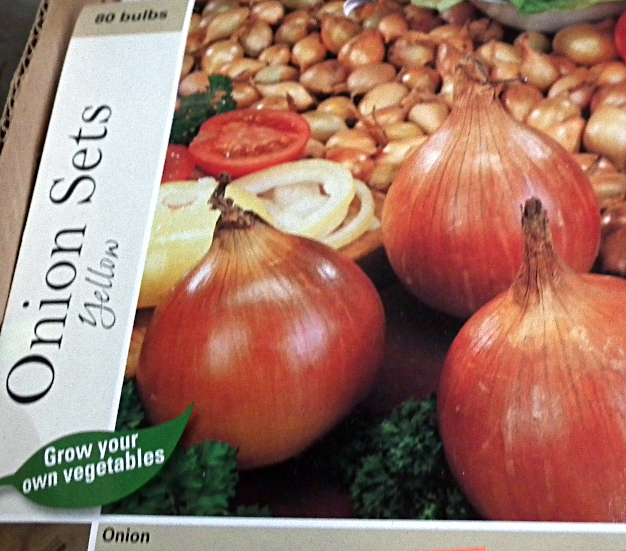 Onion Sets – Now In Stock