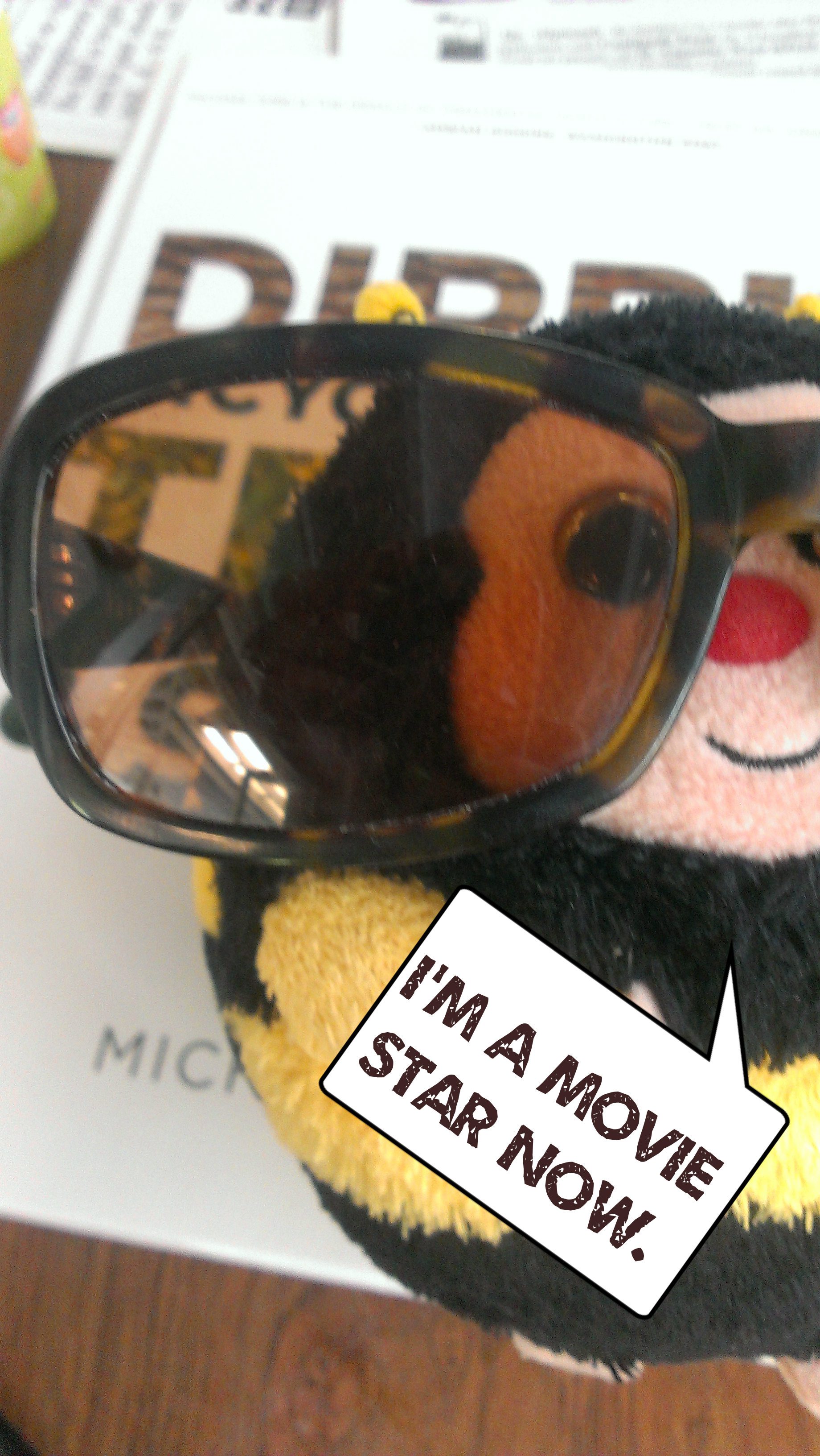 Get Your Pond Ready For Fall, One Tip At A Time!