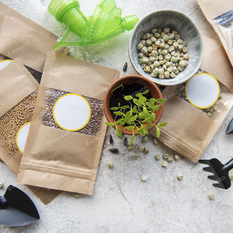 National Seed Swap Day 2026