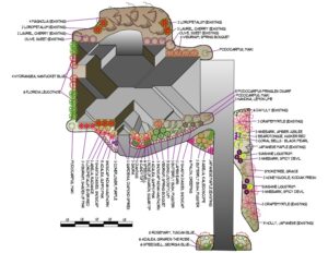 A landscape design showing a top-down view of a house, with beds around the house full of shrubs, flowers, and trees, all individually labeled and color coded