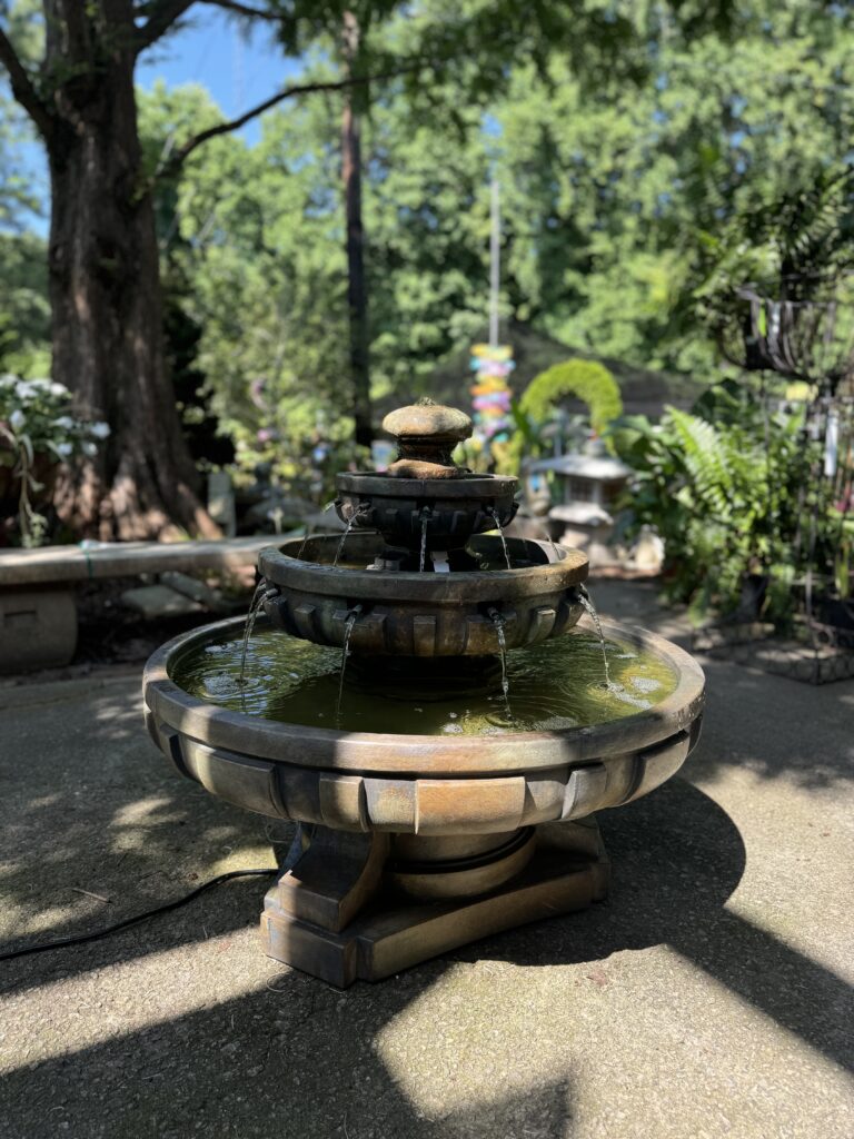 Water Gardening Greenville