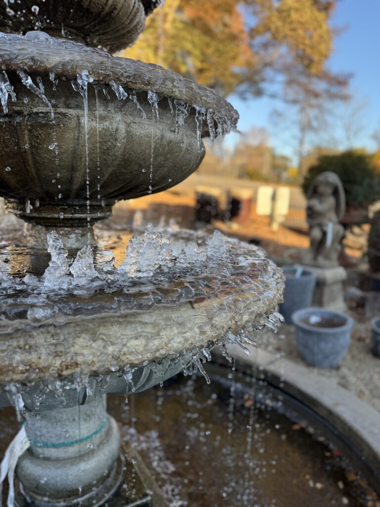 Water Gardening Greenville