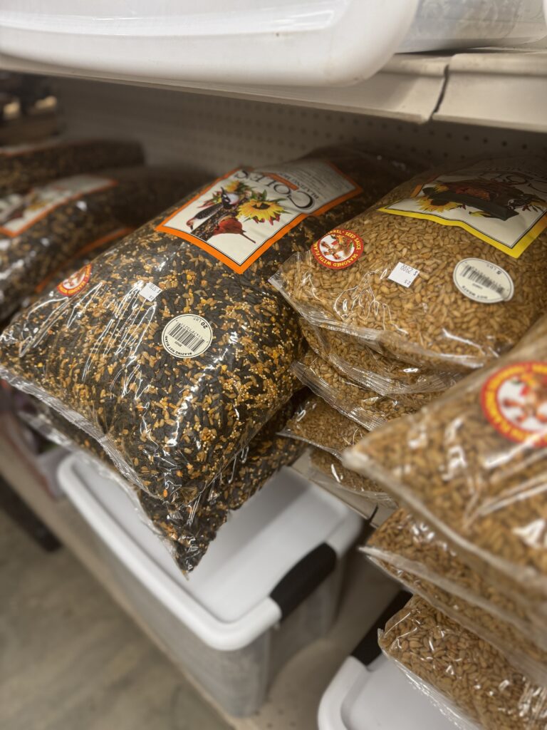 Bird Seed Greenville