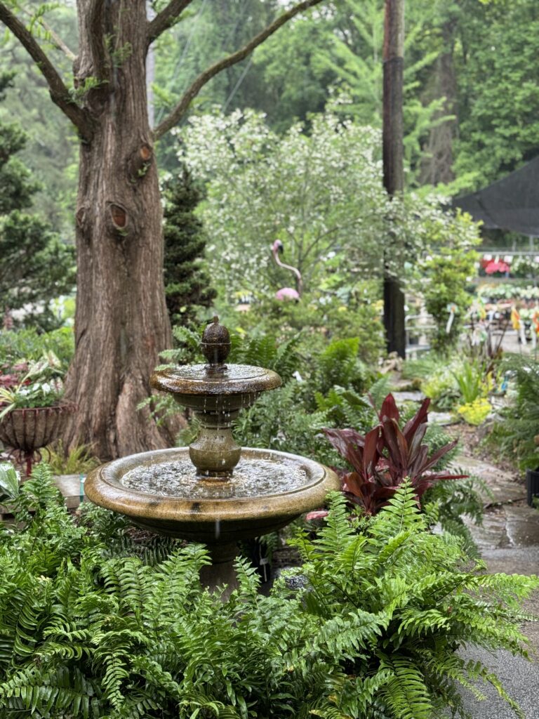 Water Gardening Greenville