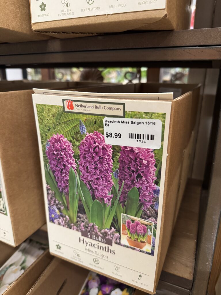 Bulbs & Seeds, South Pleasantburg Nursery, Greenville SC