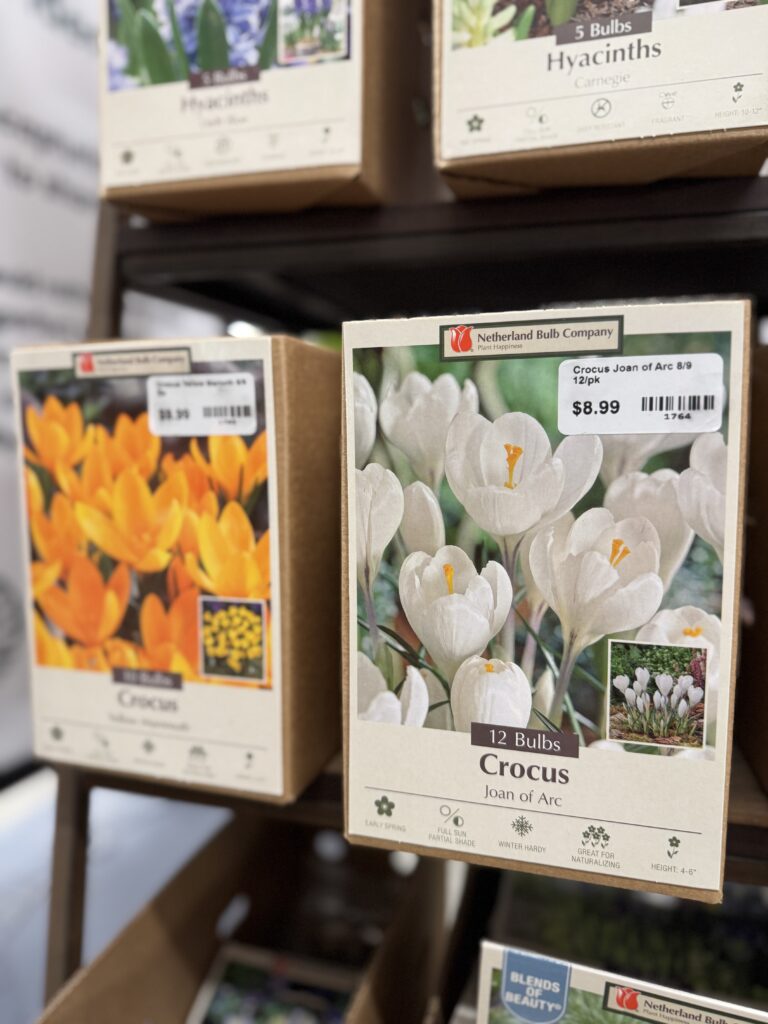 Bulbs & Seeds, South Pleasantburg Nursery, Greenville SC