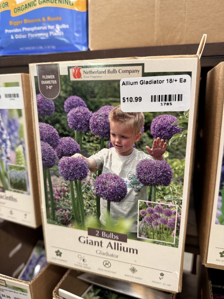 Bulbs & Seeds, South Pleasantburg Nursery, Greenville SC