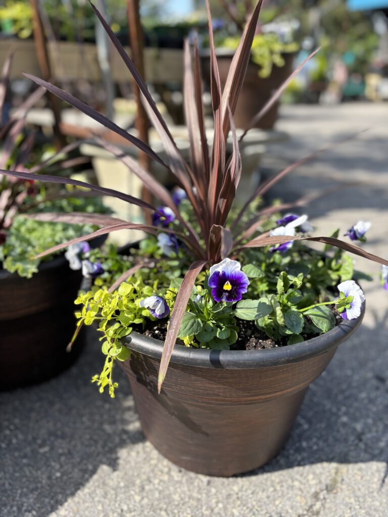 Container Gardens Greenville